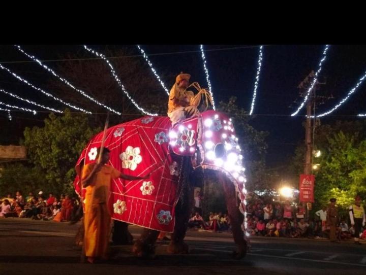 Arani Homestay Polonnaruwa Bagian luar foto