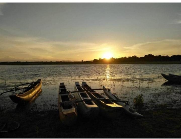 Arani Homestay Polonnaruwa Bagian luar foto