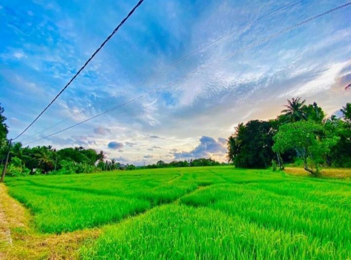 Arani Homestay Polonnaruwa Bagian luar foto